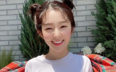 Red Velvet Irene的資產比你想像得要多!Red Velvet成員中誰最賺錢?