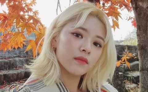 TWICE定延中繼活動後首度露面！金髮直播20分鐘 JYP慎重回應定延狀況！