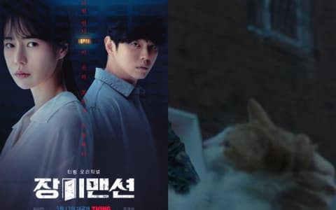 韓劇《玫瑰公寓》虐待流浪貓場面引發爭議！製作組發表官方聲明！