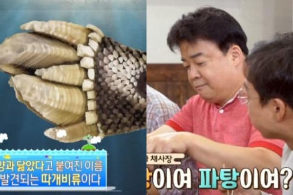 【駐站作家】盤點令人誤會的韓國食物名稱(下)！就像太陽餅裡沒有太陽！
