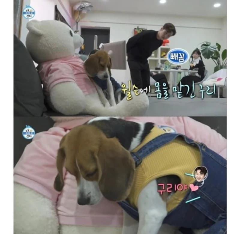 Image Source|MBC