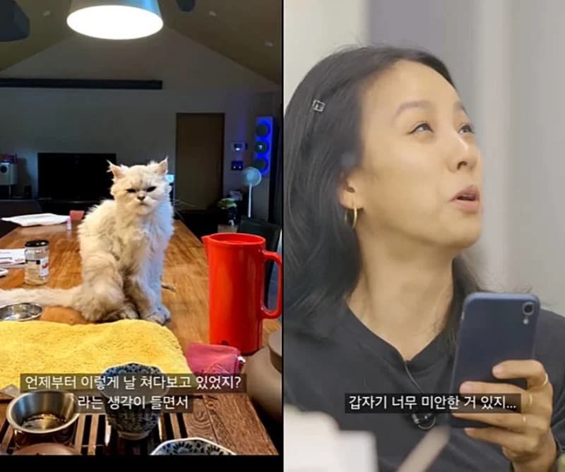 Image Source_ kakao tv