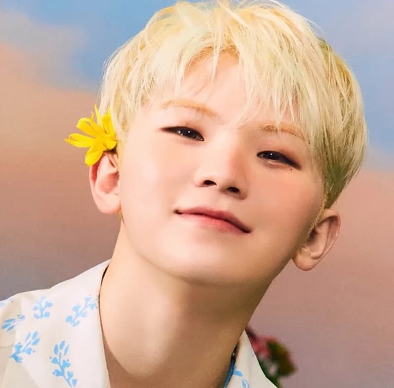 Images source:SEVENTEEN IG