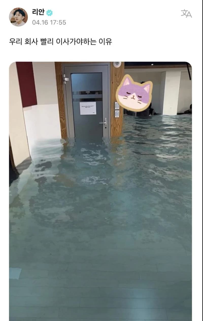 Image Source |온라인커뮤니티