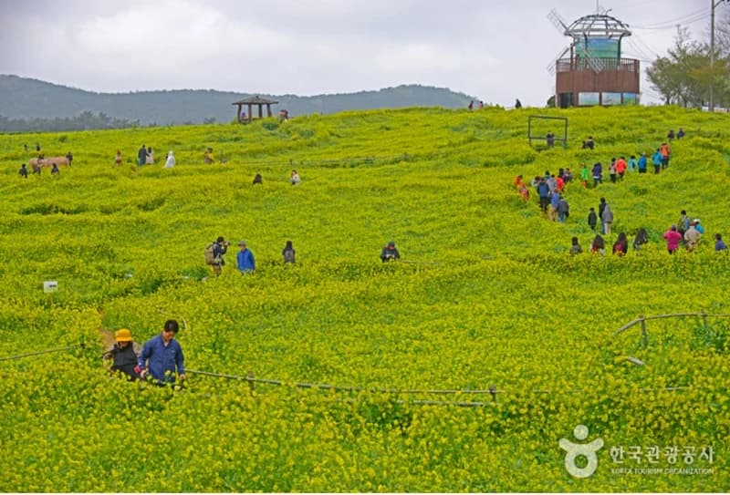 Image Source |visitkorea