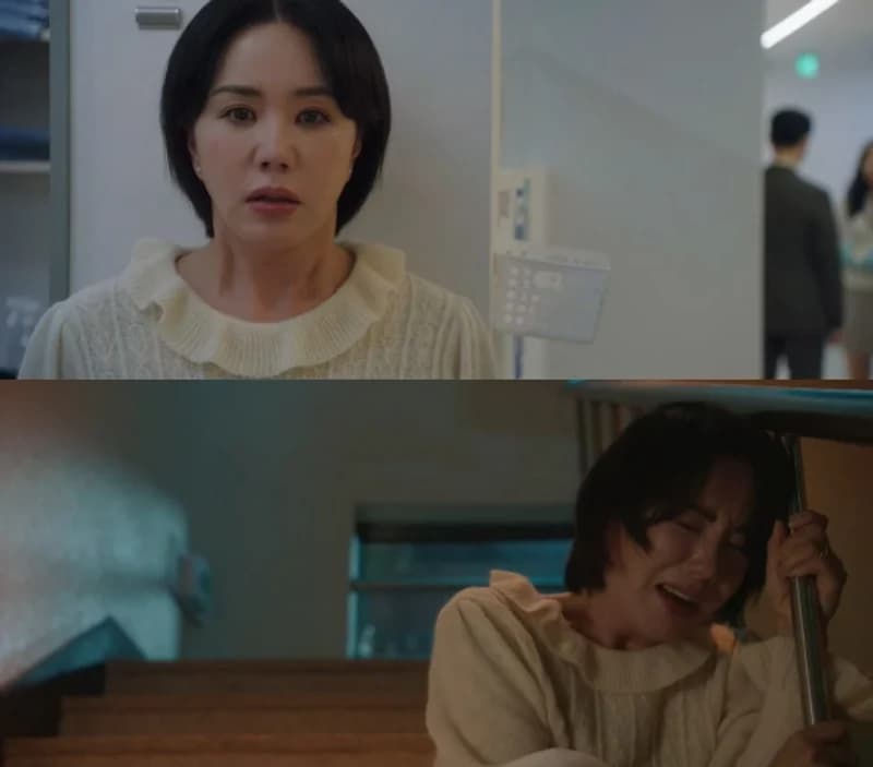 SOURCE|JTBC Drama