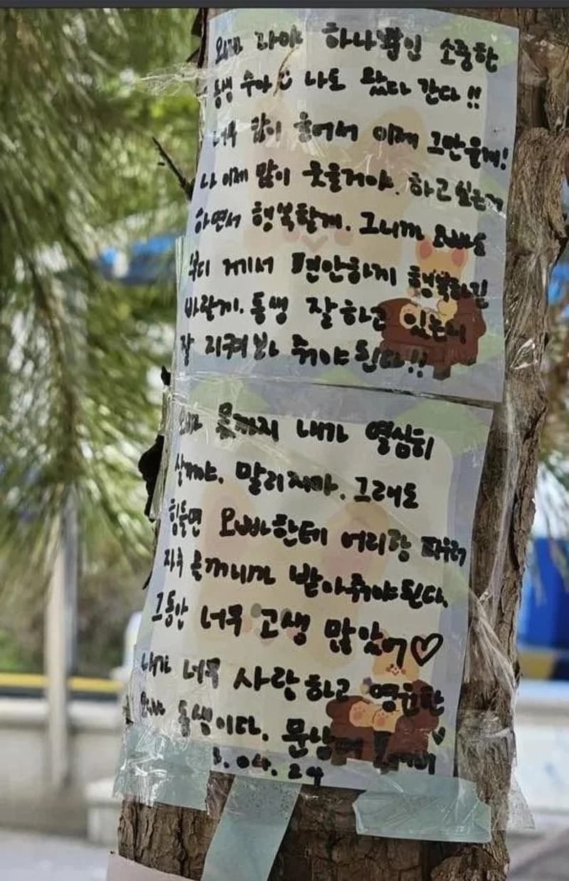 Image Source |온라인커뮤니티