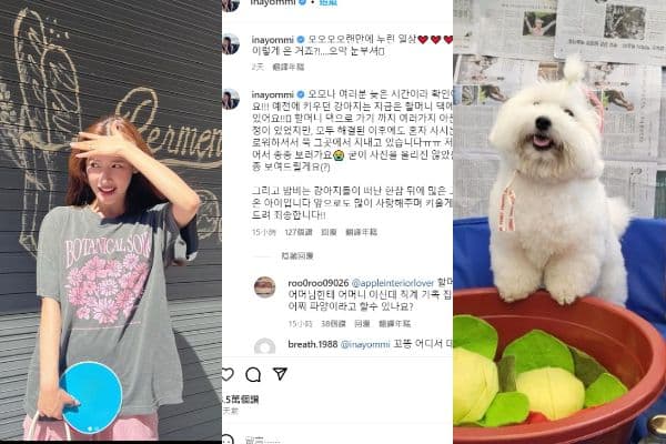 Lee Na Yeon of "Transit Love 2" sparks debate over abandoned puppy!