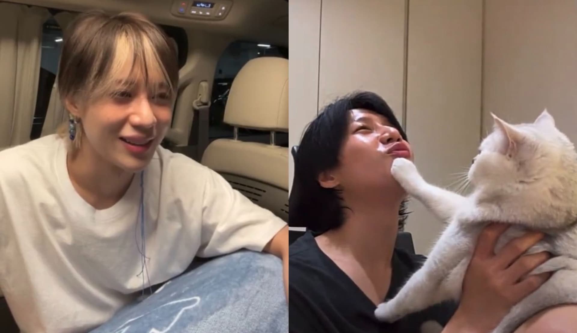 泰民学猫叫第2弹！直播公开讲猫语！讨亲亲惨被主子拒绝 一脸「怀疑猫生」网笑废