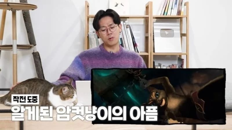 Image Source l 미야옹철의 냥냥편치 YouTube
