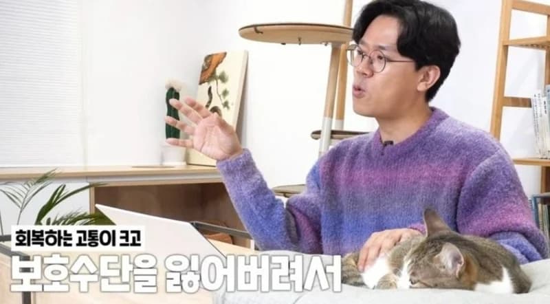 Image Source l 미야옹철의 냥냥편치 YouTube