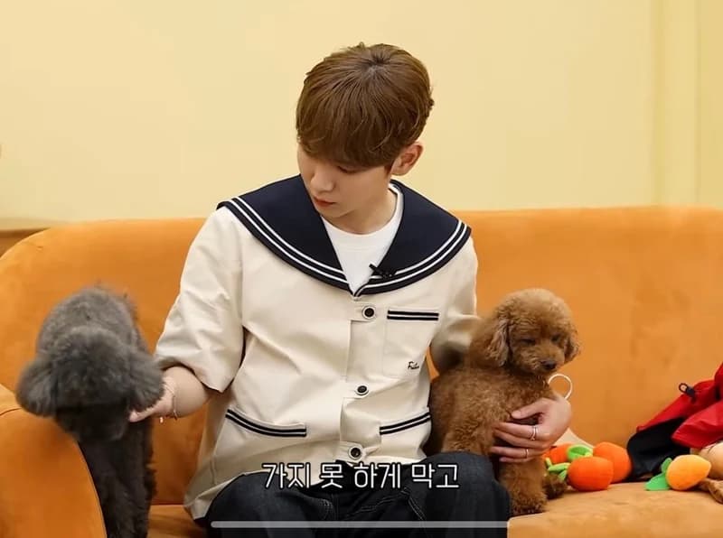 Image Source l 강형욱의 보듬 TV 