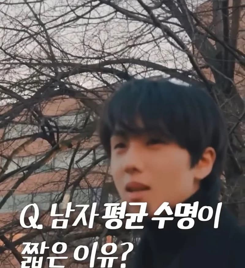 Image Source l 네오하우스