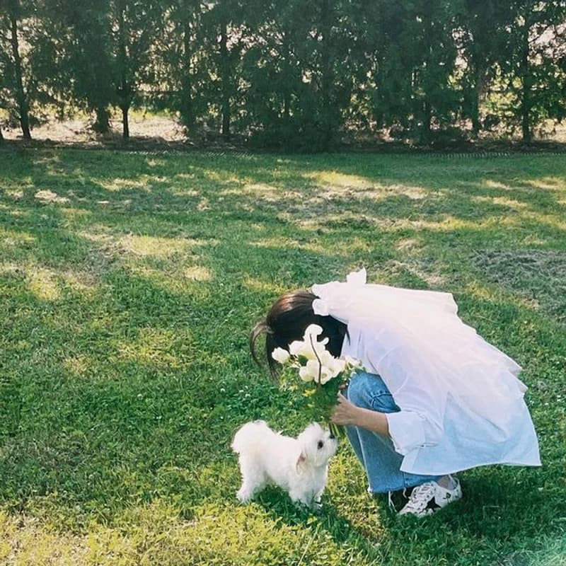 Image Source:instagram | ahnanihh
