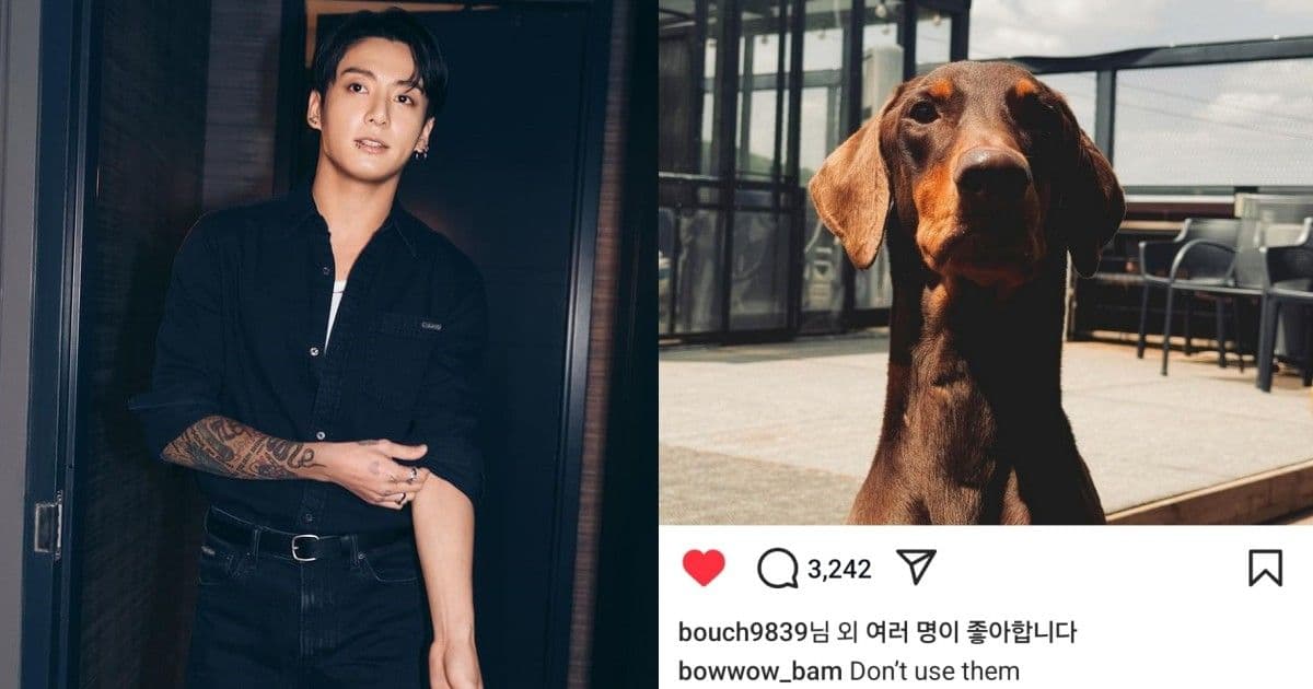 BTS柾國愛犬IG再發文「不要利用他們」！卻引海外粉絲猜測：帳號被盜
