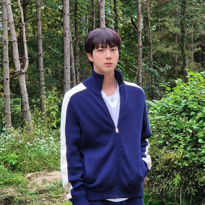 Image Source:IG l jin