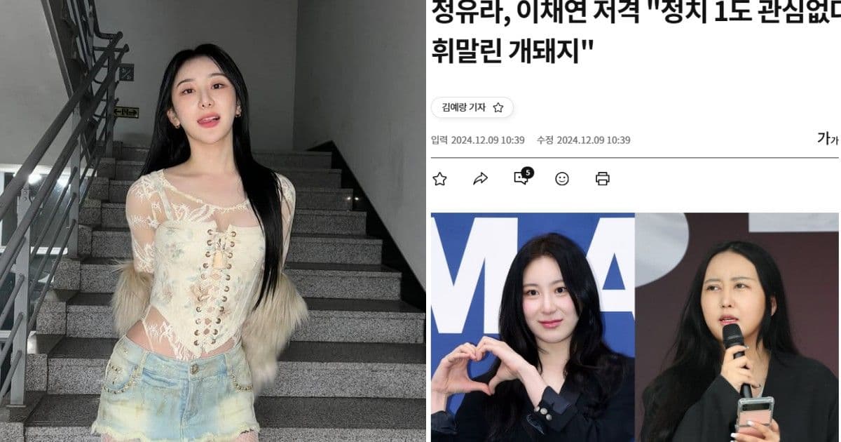 別裝腔作勢→被煽動的豬狗！李彩演因「彈劾尹錫悅」慘遭朴槿惠親信崔順實女兒爆粗口抨擊