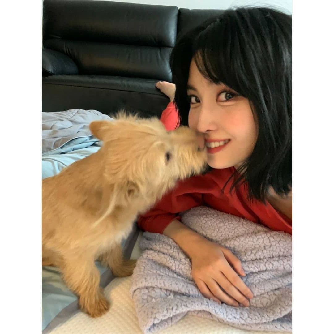Image Source_Instagram | twicetagram