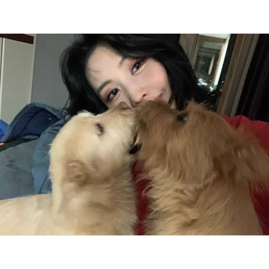 Image Source_Instagram | twicetagram