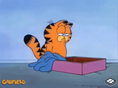 image source_giphy