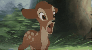 image source_giphy