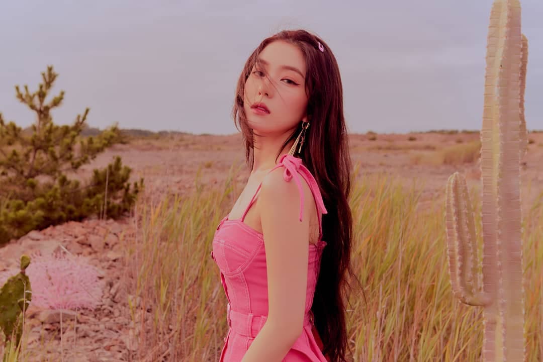 Image Source instagram | redvelvet.smtown
