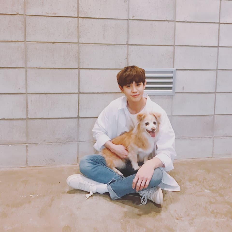 instagram | yysbeast
