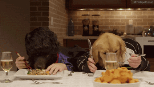 Image Source | Giphy