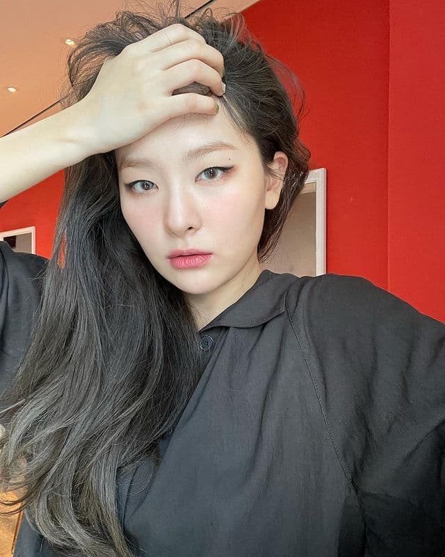 instagram | hi_sseulgi