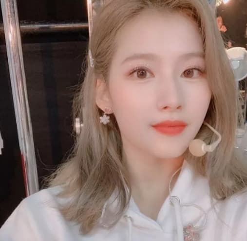 Image Source_Instagram | twicetagram