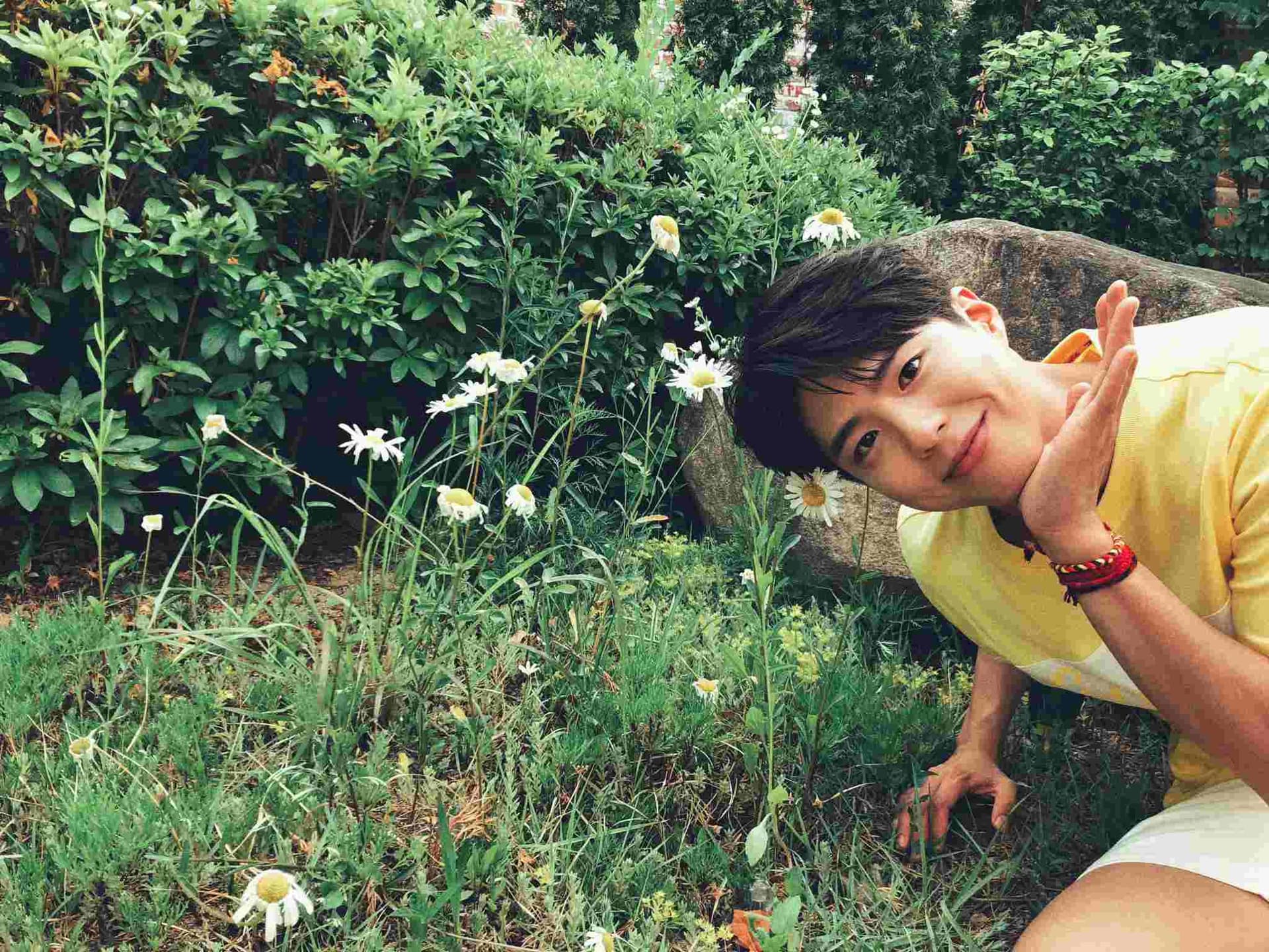 Image Source_Twitter | BOGUMMY