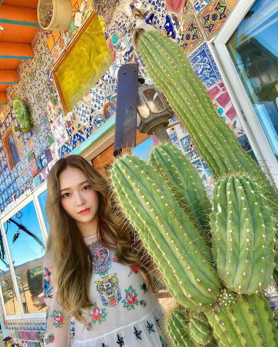 Image Source_Instagram | jessica.syj