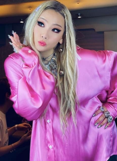 Image Source_Instagram | chaelincl