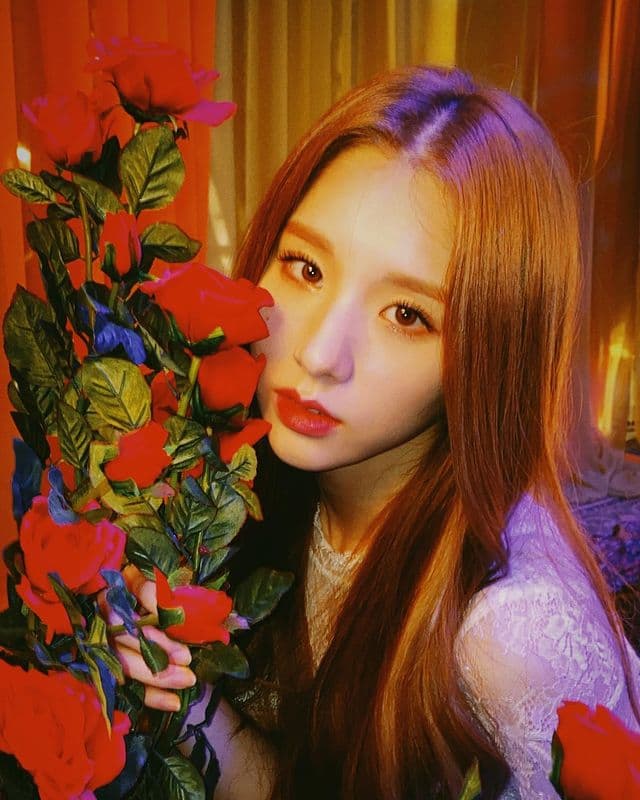Image Source_Instagram | loonatheworld
