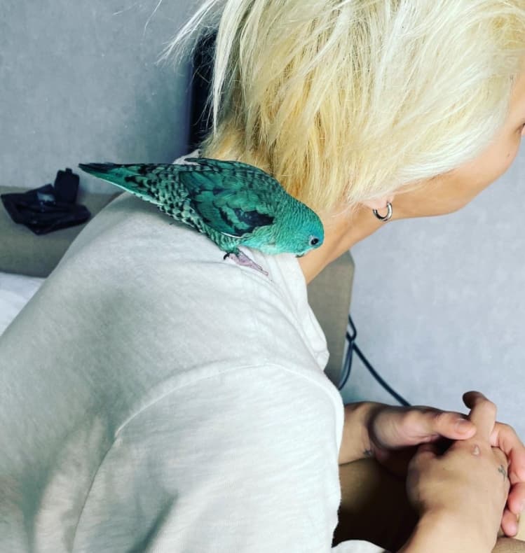 Image Source_Instagram |realllllmino