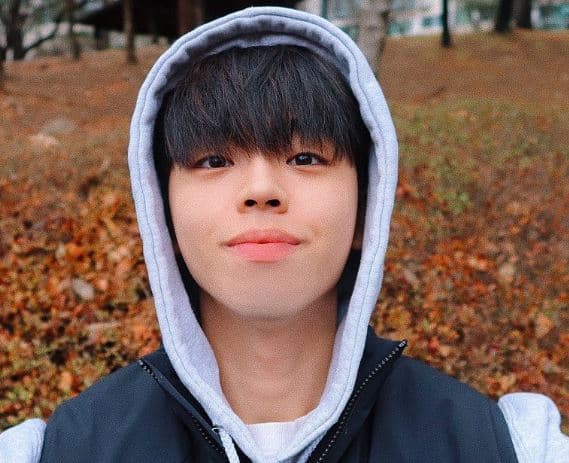 Image Source_Instagramㅣgreestvg