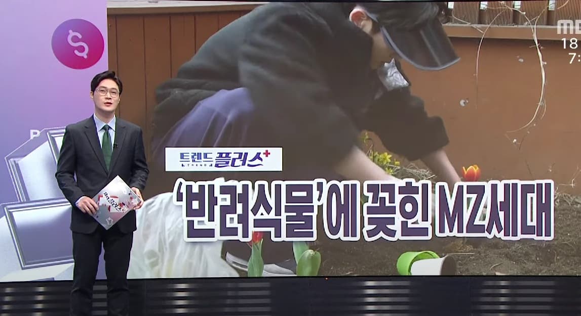 Image Source_YouTubeㅣMBCNEWS