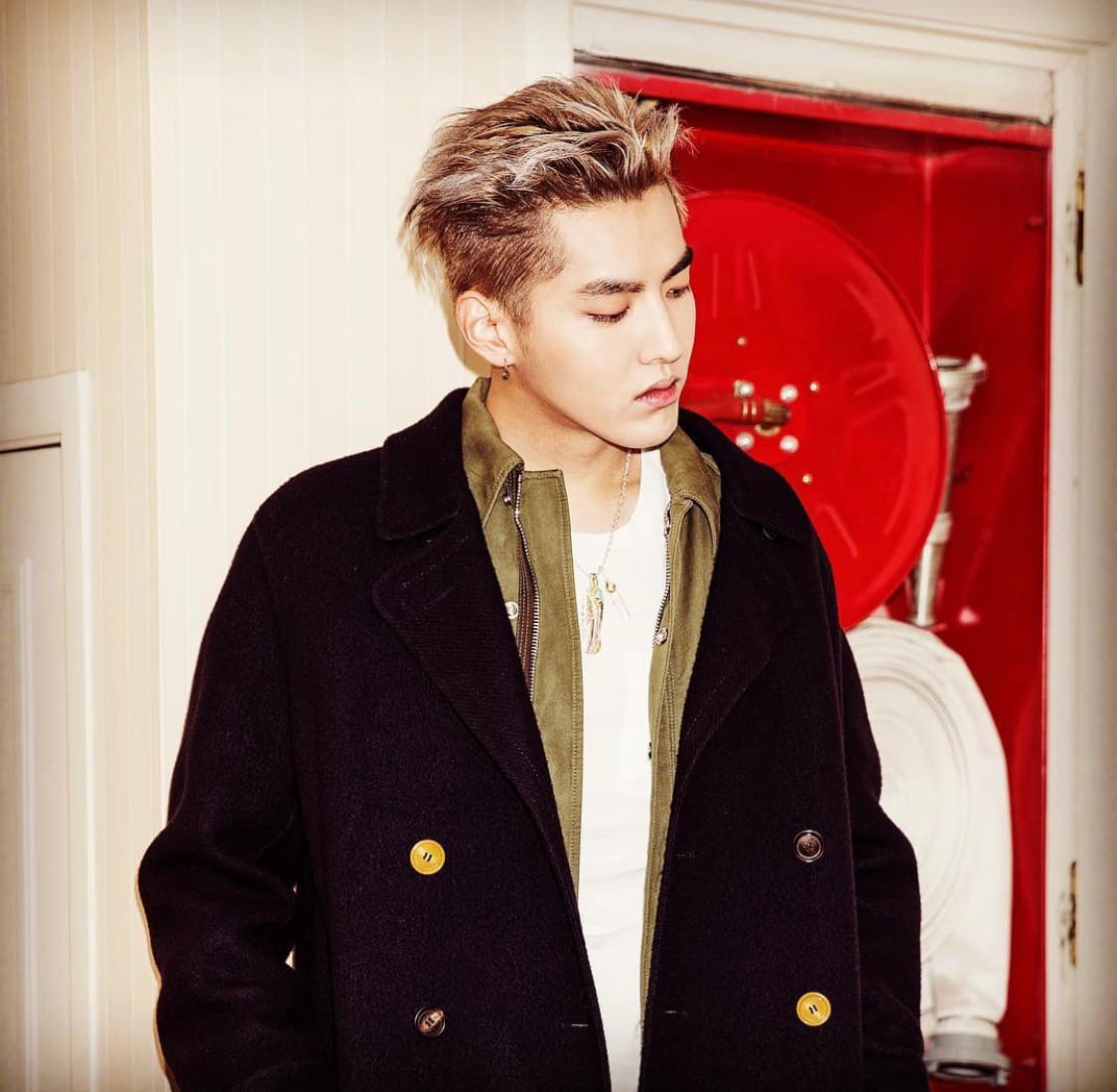 Image Source :Instagram | kriswu
