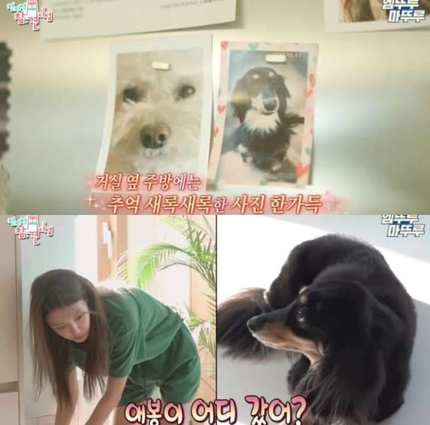 image source |온라인 커뮤니티