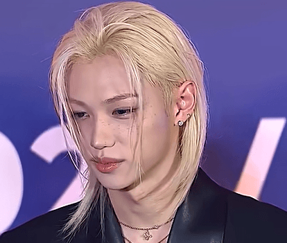 스트레이 키즈 필릭스, 레드카펫 표정 논란?…알고 보니 '중국어 멘트' 때문