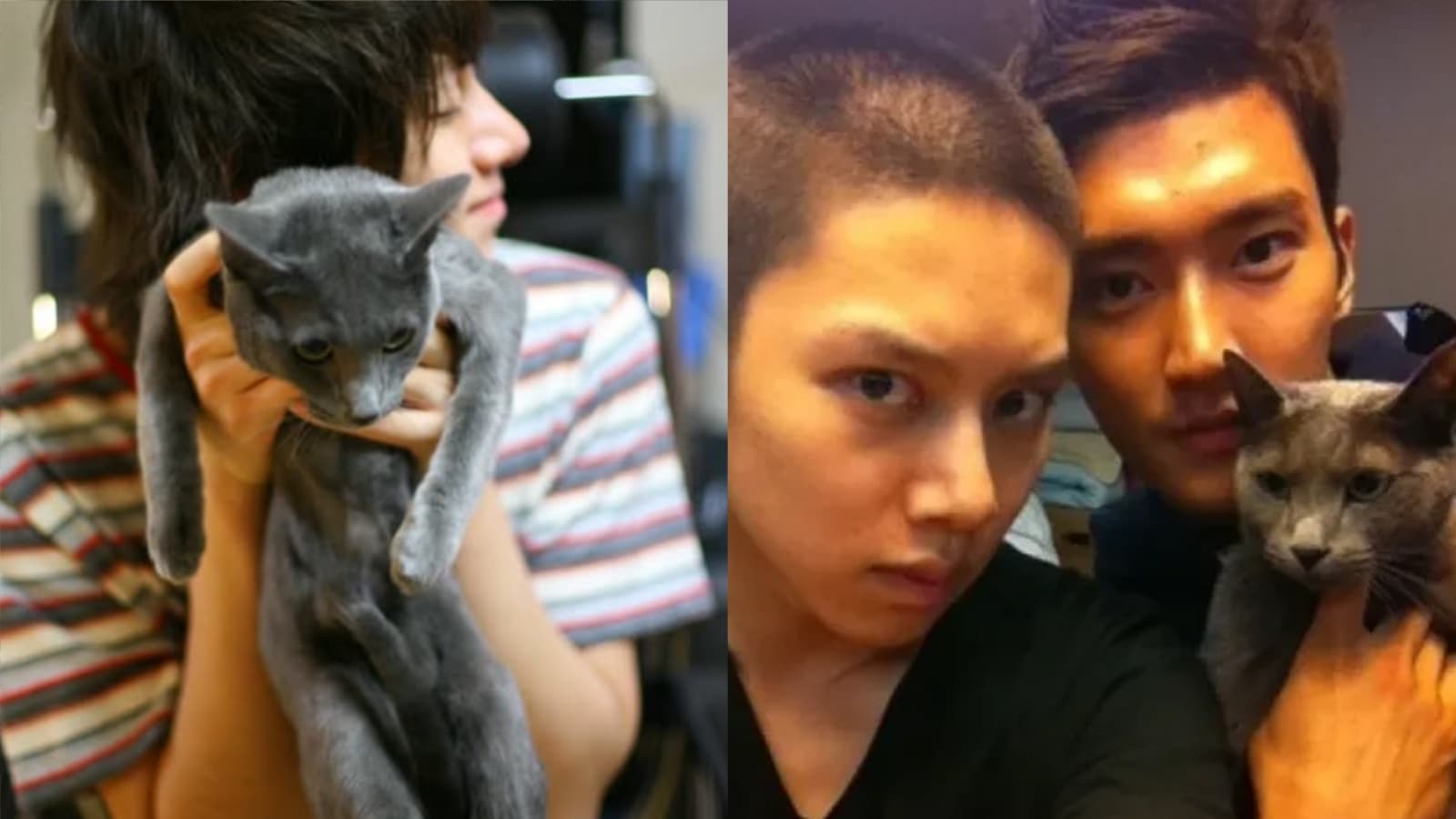 SJ金希澈痛失20歲愛貓！「希範」陪他熬過車禍復健 緣分故事逼哭粉絲