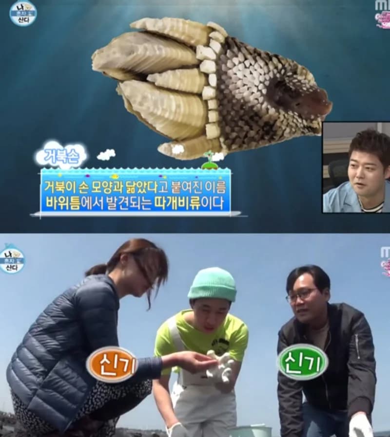 image source|MBC