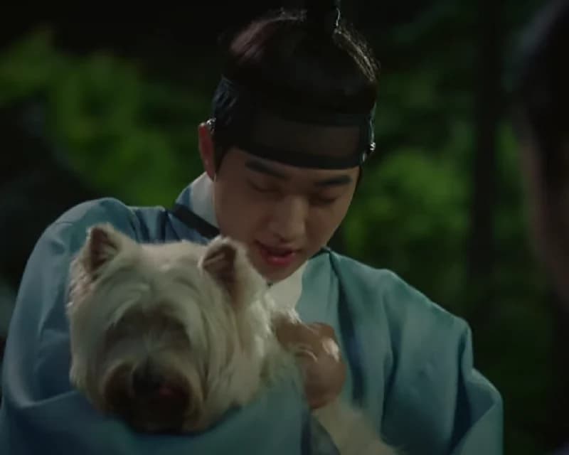 image source|SBS CatchSBS Catch
