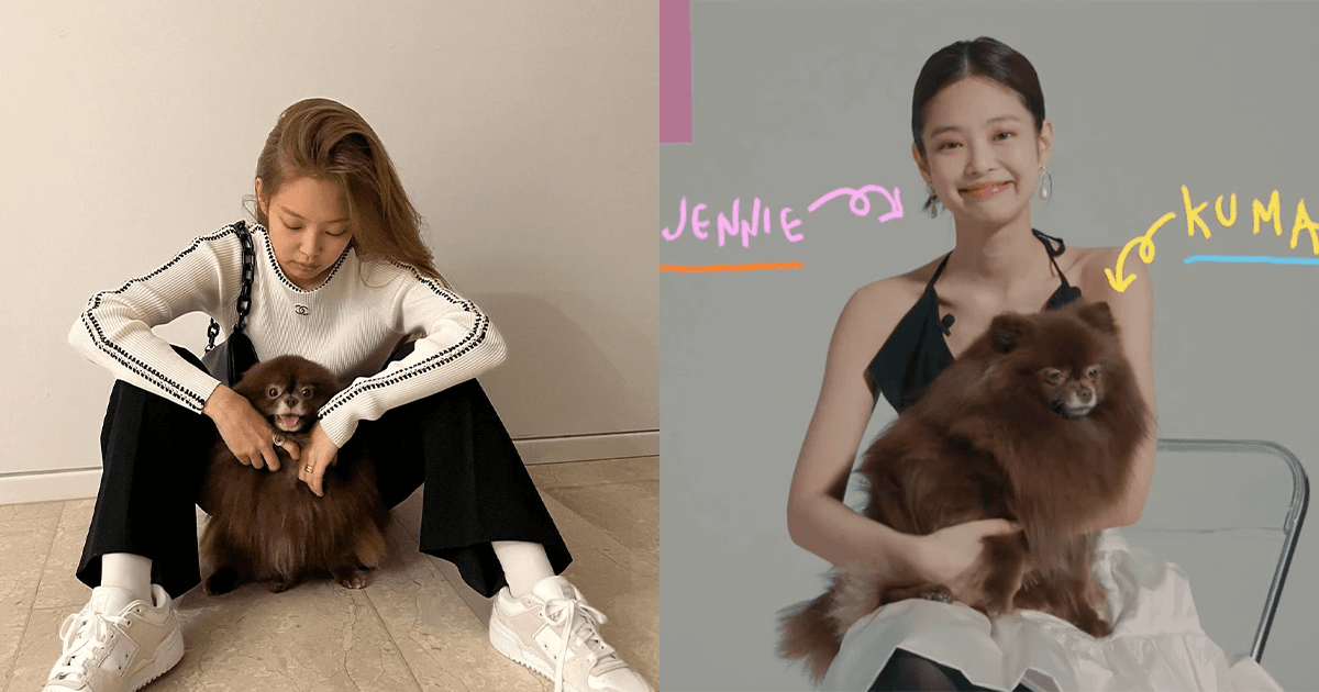 BLACKPINK Jennie帶愛犬出演「這個」綜藝節目!首次單獨登上韓綜!