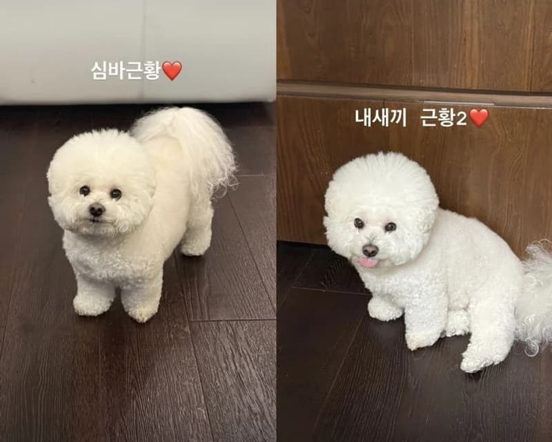 圖片來源:IG@bn_sj2013