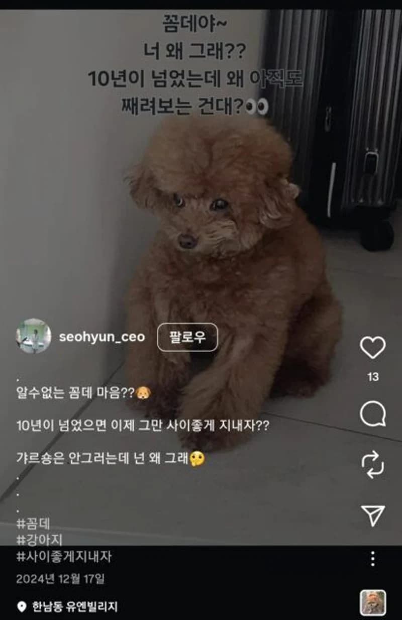 圖片來源:IG@seohyun_ceo