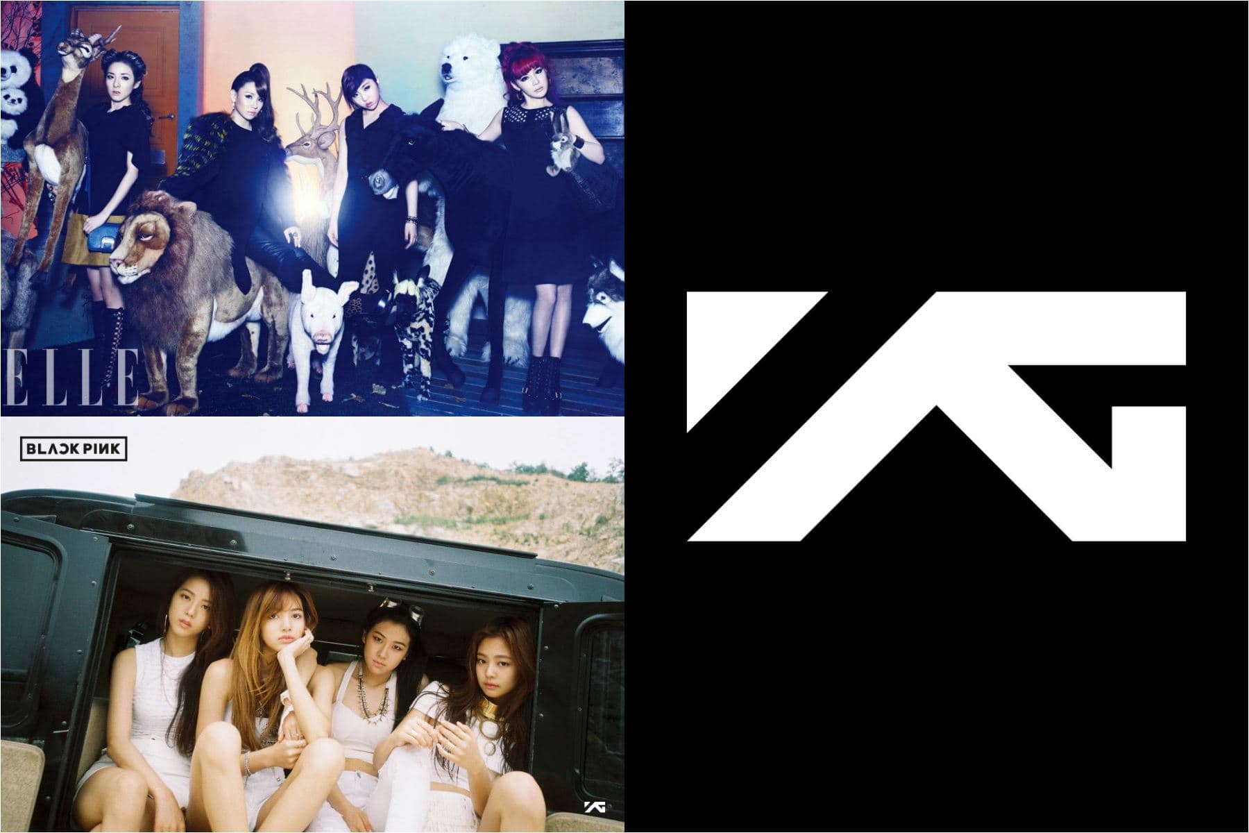 Image Source FB | ygfamily