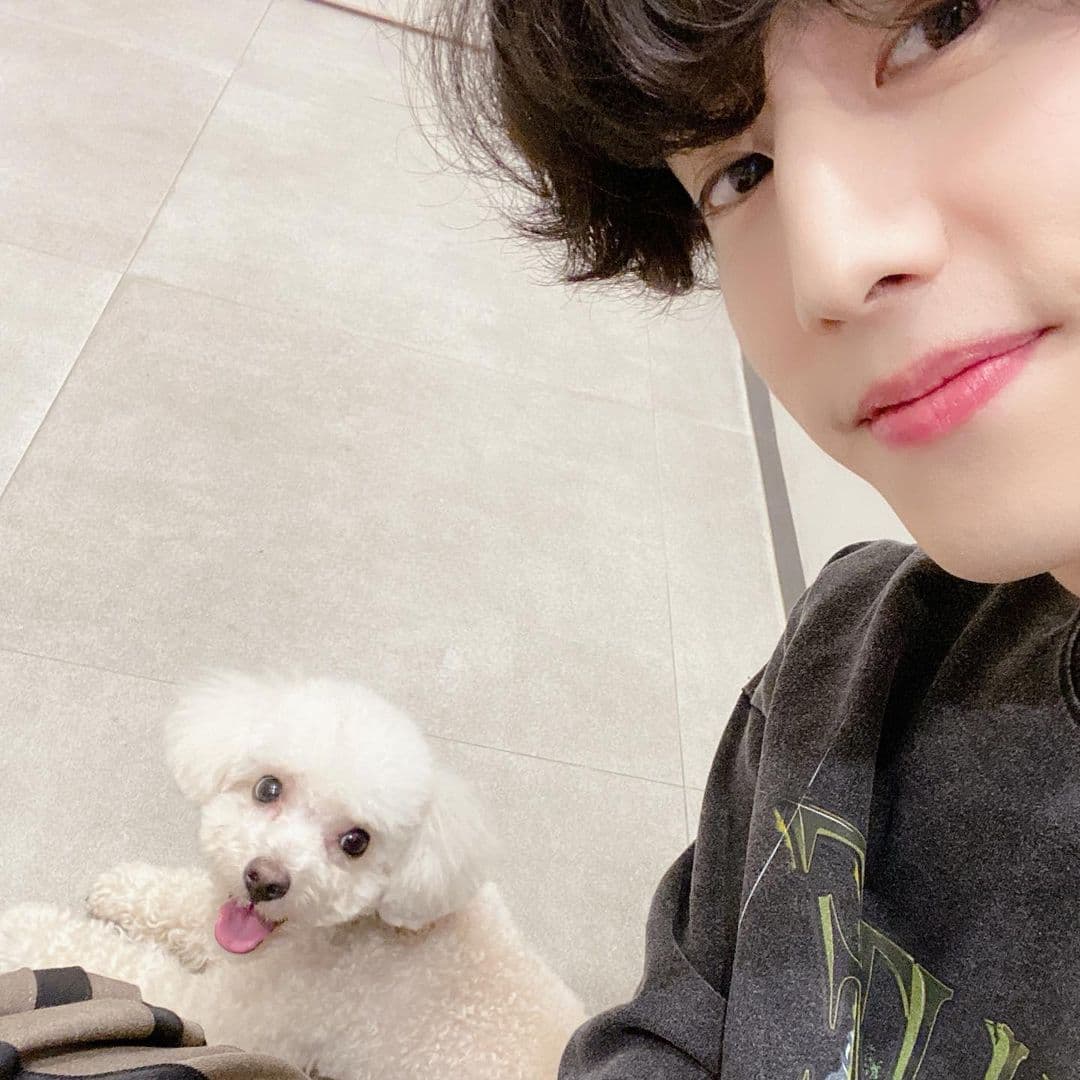 Image Source instagram | marktuan