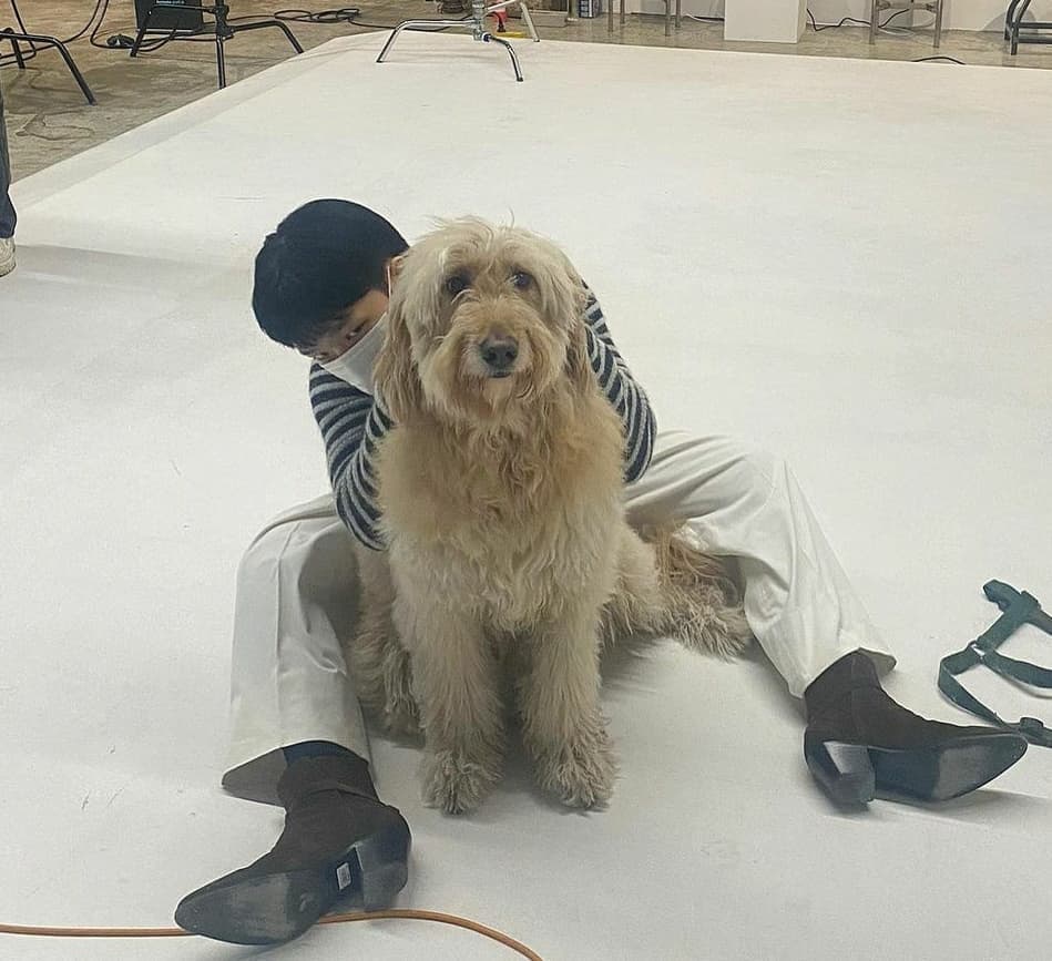 instagram | akmuchanhk