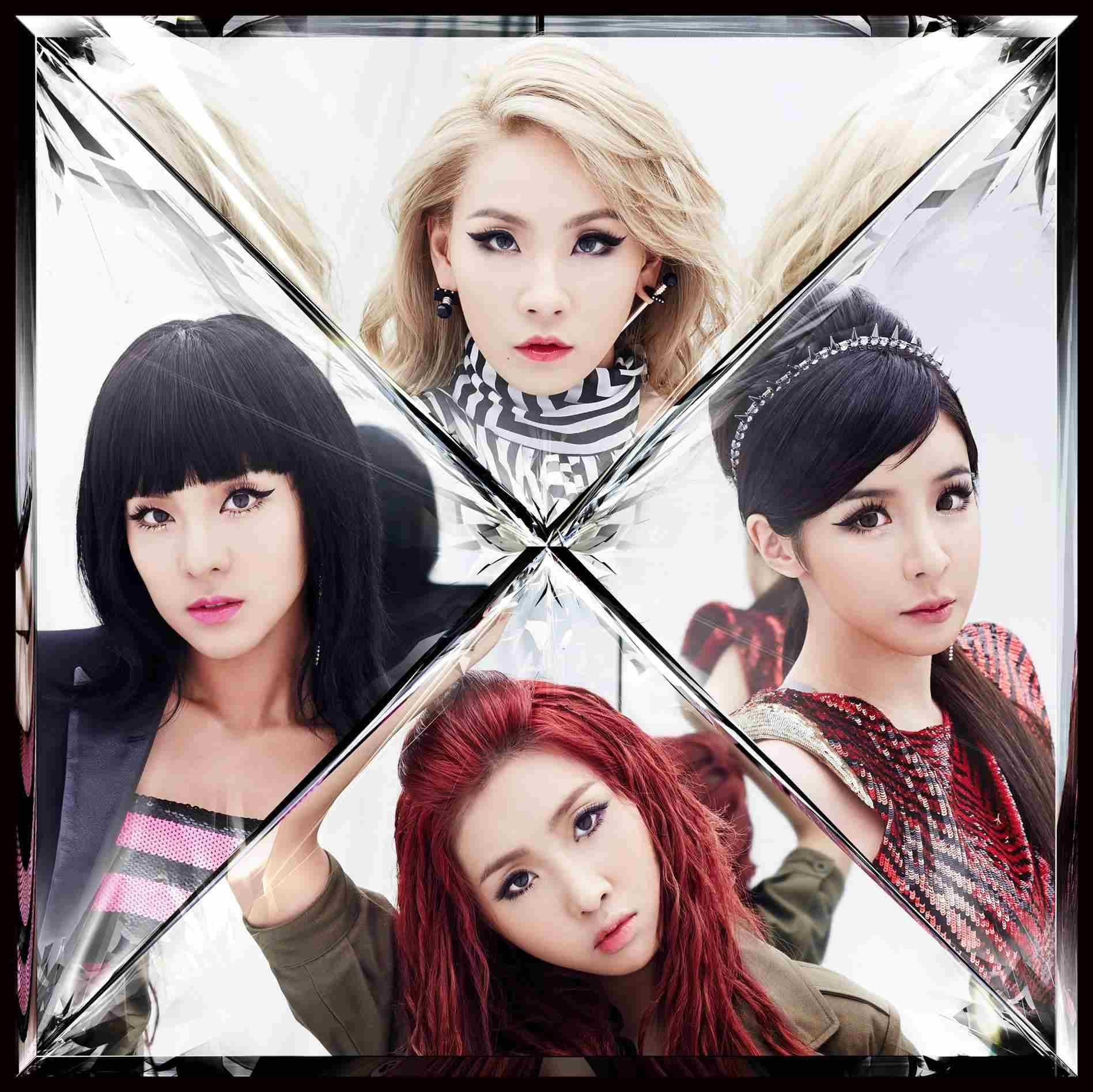 Image Source FB | 2NE1